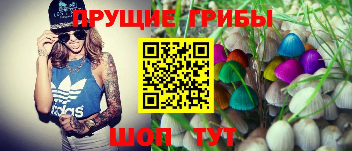 купить  сайты  Галлюциногенные грибы мицелий  Бор  Вход с VPN  Галлюциногенные грибы мухоморы 